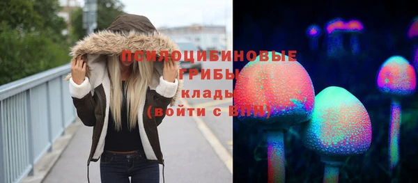 ECSTASY Алексеевка