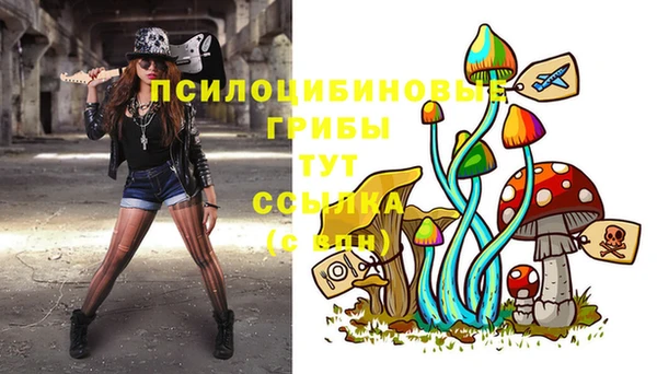 ECSTASY Алексеевка