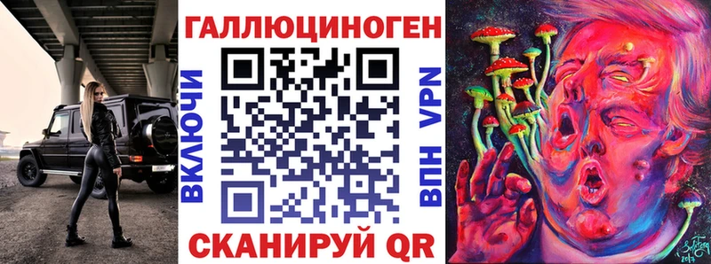 kraken онион  Шумиха  Псилоцибиновые грибы GOLDEN TEACHER 